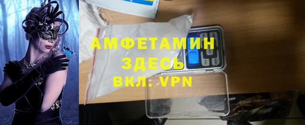 индика Балахна