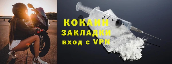 индика Балахна