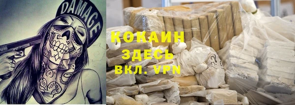 спиды Арсеньев