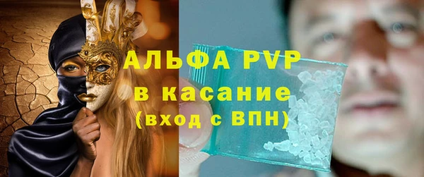 индика Балахна