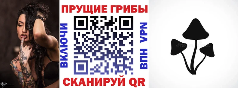 Псилоцибиновые грибы мицелий  продажа наркотиков  Нарткала 